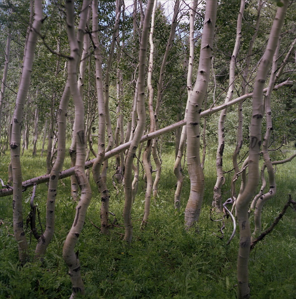 Colorado Western Slope